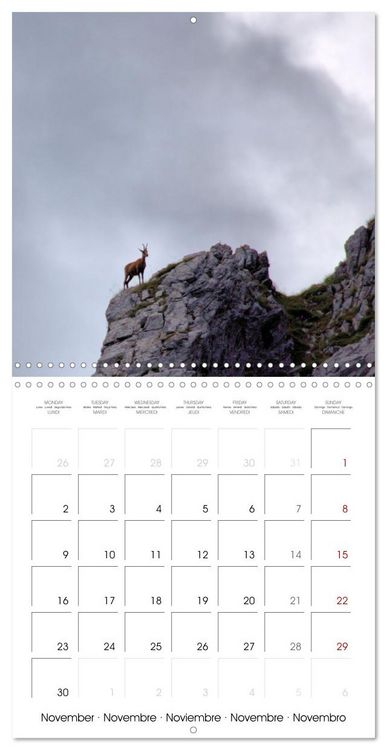 Produktbild: Deux &eacute;t&eacute;s en Vall&eacute;e d'Ossau (Calendrier mural carr&eacute; 2026 30x30 cm) Calendrier double avec une page pour vos prises de notes