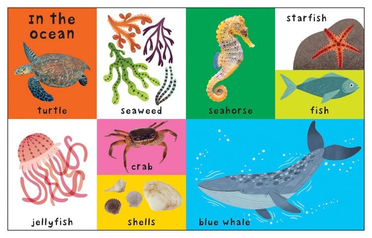 Produktbild: First 100 Nature Words