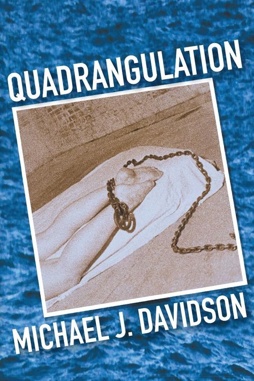 Produktbild: Quadrangulation