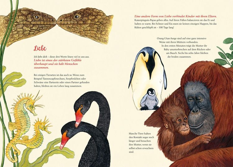Produktbild: So f&uuml;hlen die Tiere