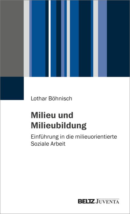 Produktbild: Milieu und Milieubildung