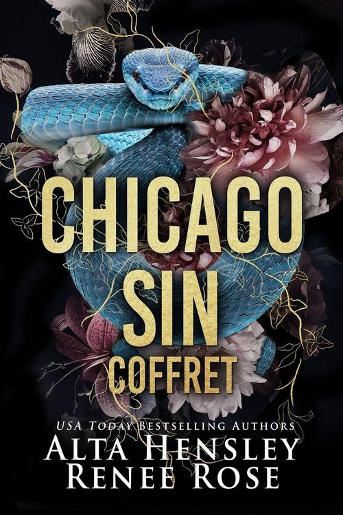 Produktbild: Chicago Sin Coffret