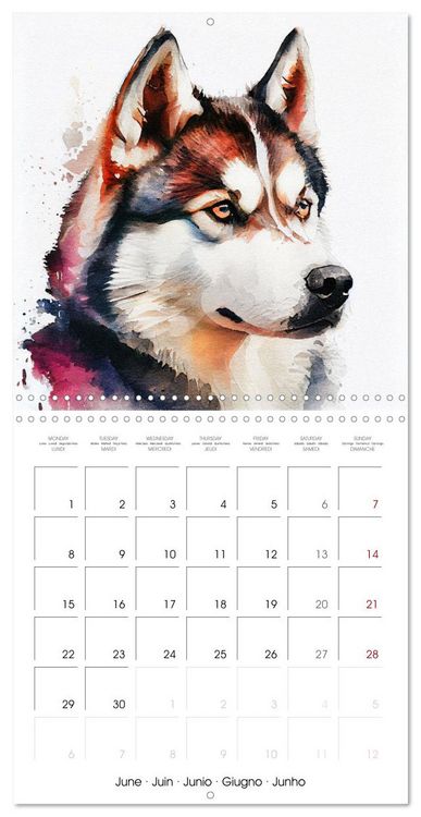 Produktbild: Dog Breeds in Watercolor (Wall Calendar 2026 12 &times; 12 Inch) CALVENDO 12 Month Wall Calendar