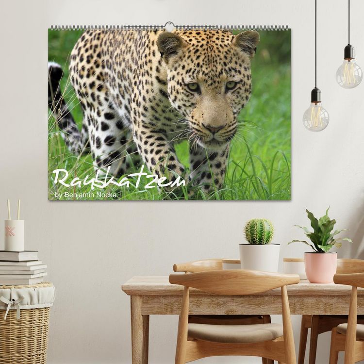 Produktbild: Raubkatzen (Wandkalender 2026 DIN A2 quer), CALVENDO Monatskalender