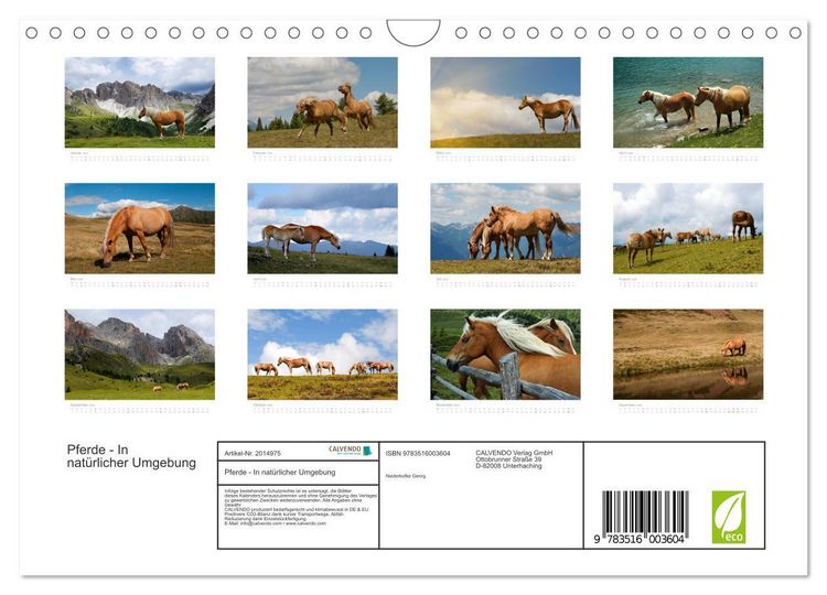 Produktbild: Pferde - In nat&uuml;rlicher Umgebung (Wandkalender 2026 DIN A4 quer), CALVENDO Monatskalender