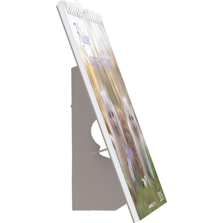 Produktbild: Kleine Samtpfötchen 2026 - Postkartenkalender 16x17 cm - Katzen - zum Aufstellen oder Aufhängen - Monatskalendarium - Gadget - Mitbringsel - Alpha Edi