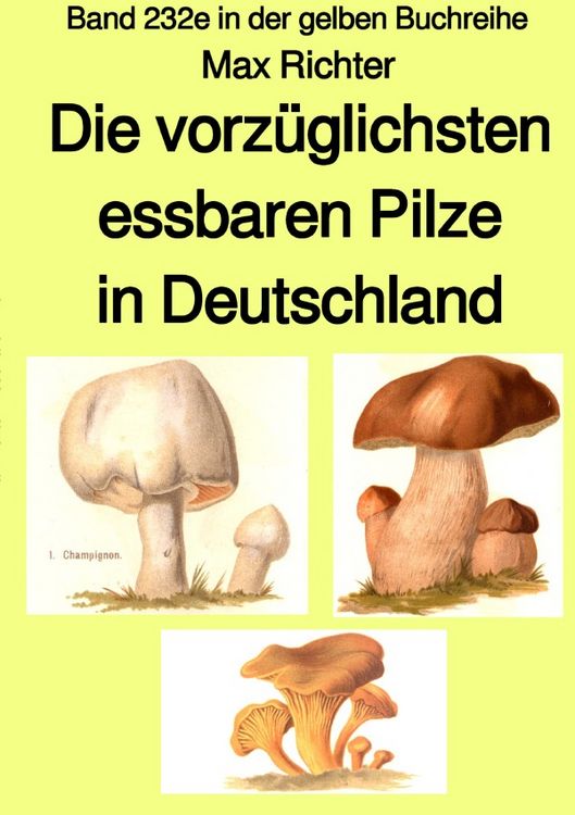 Produktbild: Gelbe Buchreihe / Die vorz&uuml;glichsten essbaren Pilze in Deutschland &ndash; Band 232e in der gelben Buchreihe &ndash; bei J&uuml;rgen Ruszkowski