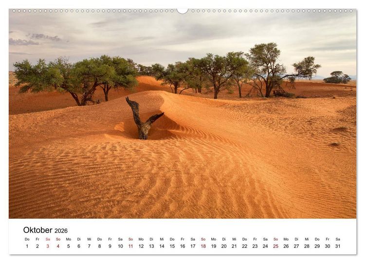 Produktbild: B&auml;ume in Namibias Landschaften (Wandkalender 2026 DIN A2 quer), CALVENDO Monatskalender