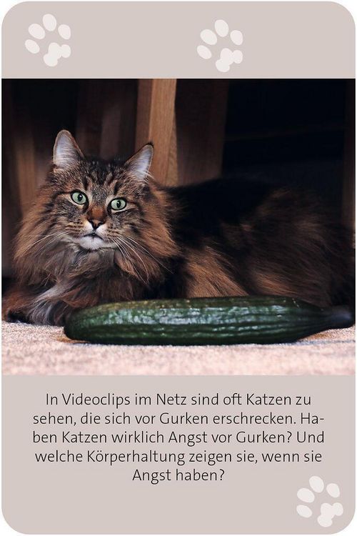 Produktbild: Das gro&szlig;e Katzen Quiz
