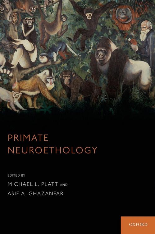 Produktbild: Primate Neuroethology
