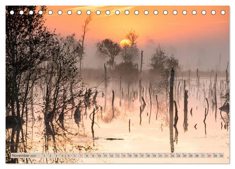 Produktbild: Deutschlands Moore (Tischkalender 2027 DIN A5 quer), CALVENDO Monatskalender