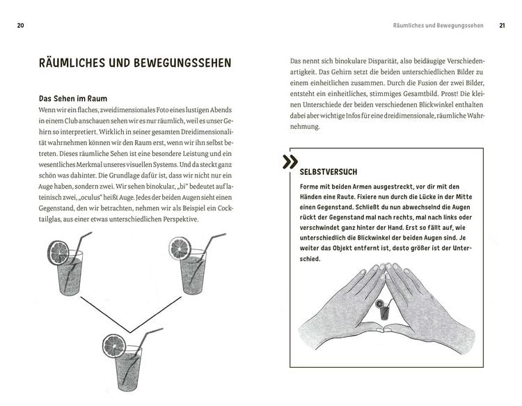 Faszination Auge