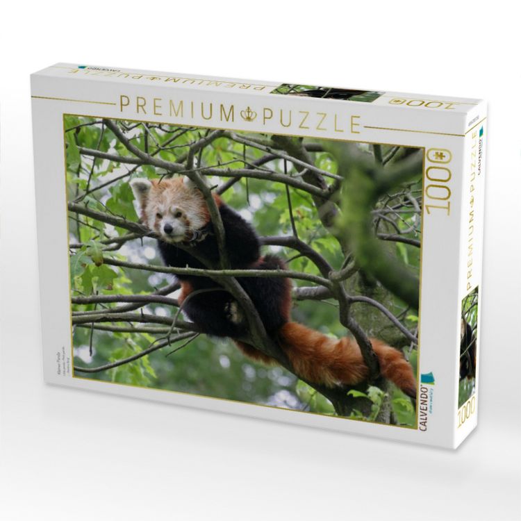 Produktbild: CALVENDO Puzzle Kleiner Panda | 1000 Teile Lege-Gr&ouml;&szlig;e 64x48cm Foto-Puzzle f&uuml;r gl&uuml;ckliche Stunden