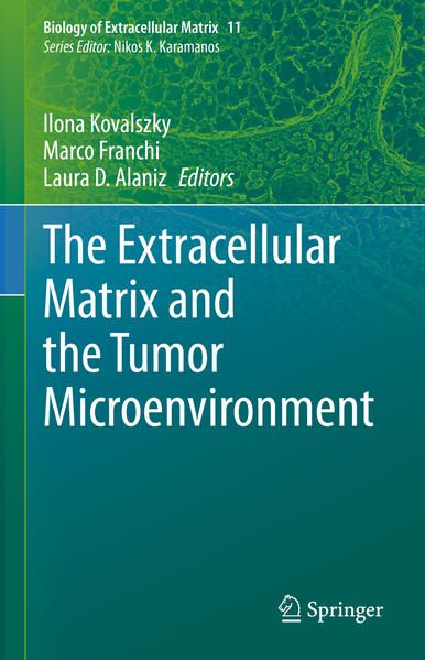Produktbild: The Extracellular Matrix and the Tumor Microenvironment