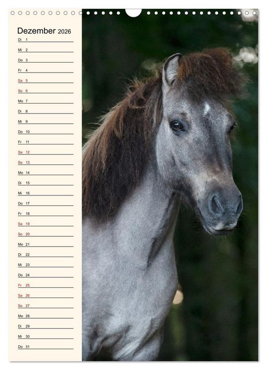 Produktbild: Isl&auml;nder Geburtstagskalender (Wandkalender 2026 DIN A3 hoch), CALVENDO Monatskalender