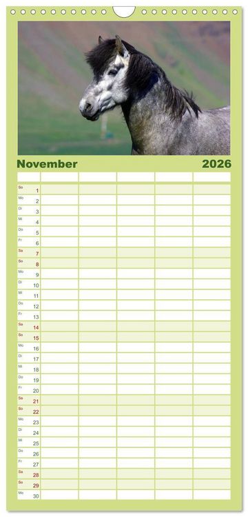 Produktbild: Familienplaner 2026 - Die Pferde Islands mit 5 Spalten (Wandkalender, 21 x 45 cm) CALVENDO