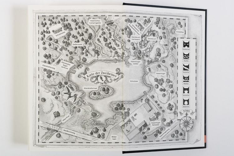 Produktbild: Warrior Cats - Special Adventure. Graustreifs Versprechen