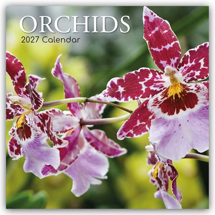 Produktbild: Orchids &ndash; Orchideen 2027 &ndash; 16-Monatskalender