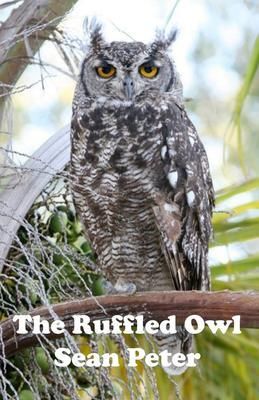 Produktbild: The Ruffled Owl