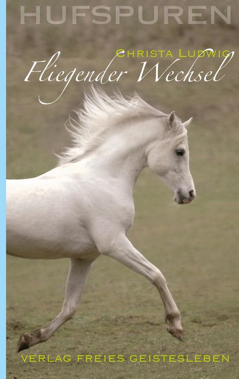 Produktbild: Hufspuren: Fliegender Wechsel