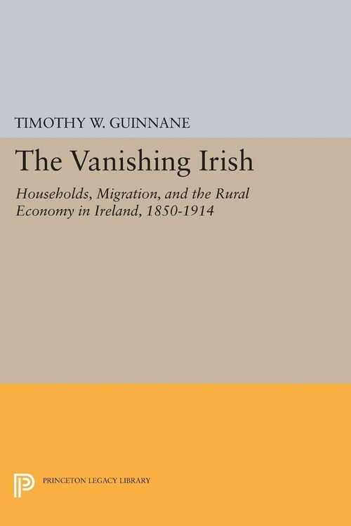Produktbild: The Vanishing Irish