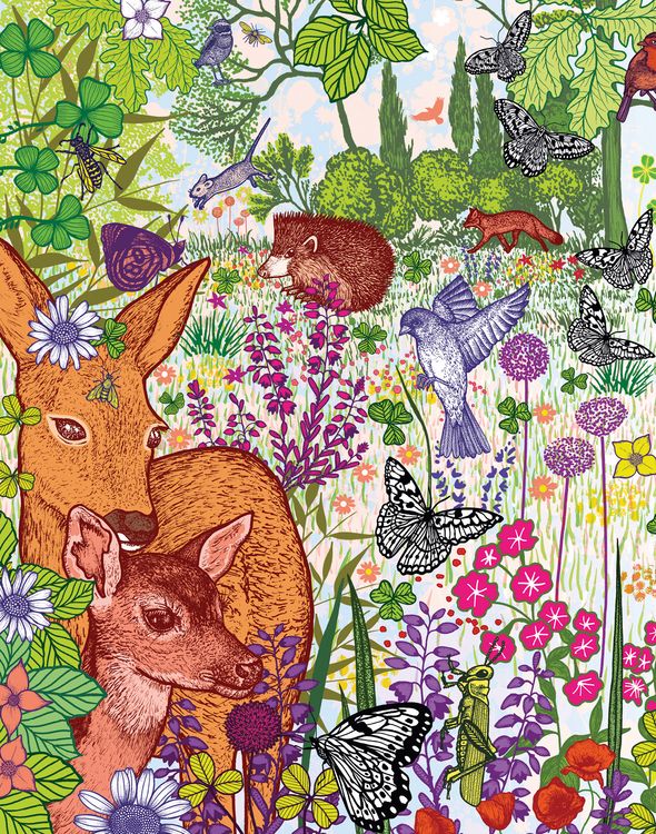 Produktbild: Bambi