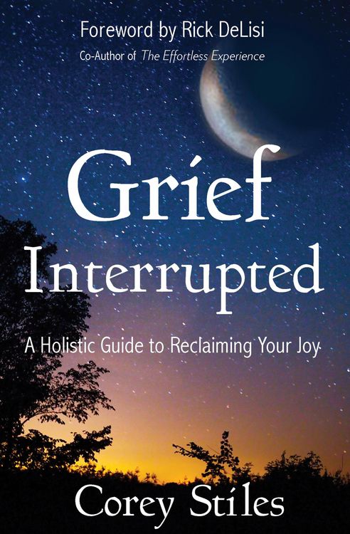 Produktbild: Grief Interrupted