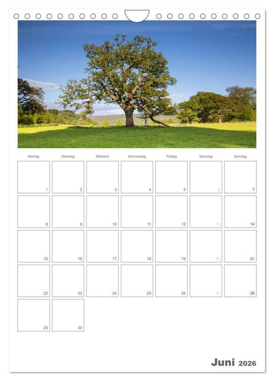 Produktbild: Eine Reise durch Wales (Wandkalender 2026 DIN A4 hoch), CALVENDO Monatskalender