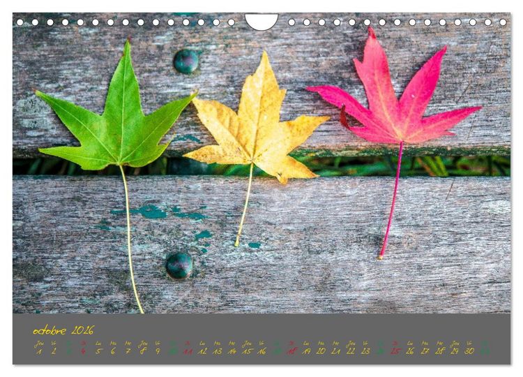 Produktbild: Un automne au Bois (Calendrier mural 2026 DIN A4 vertical), CALVENDO calendrier mensuel