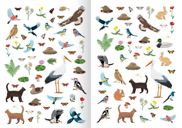 Produktbild: Mein Natur-Stickerbuch