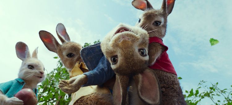 Produktbild: Peter Hase