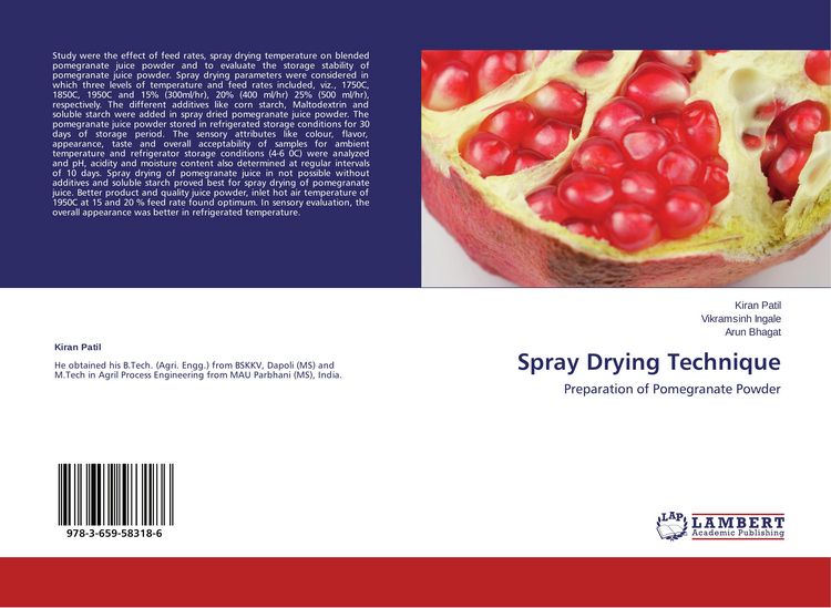 Produktbild: Spray Drying Technique