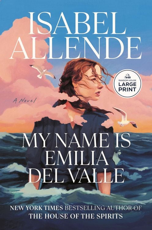 Produktbild: My Name Is Emilia del Valle