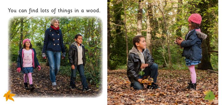 Produktbild: Art in the Woods