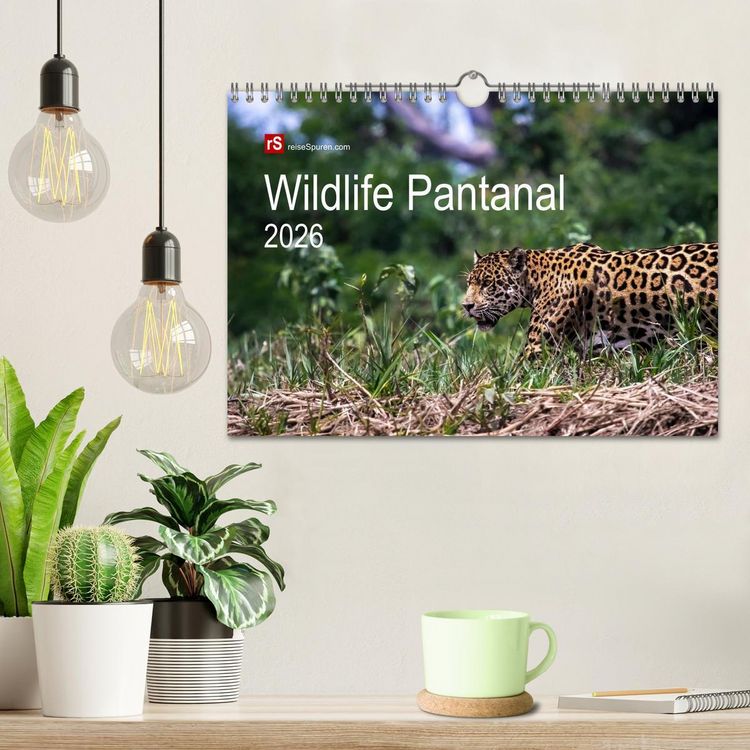 Produktbild: Wildlife Pantanal 2026 (Wandkalender 2026 DIN A4 quer), CALVENDO Monatskalender