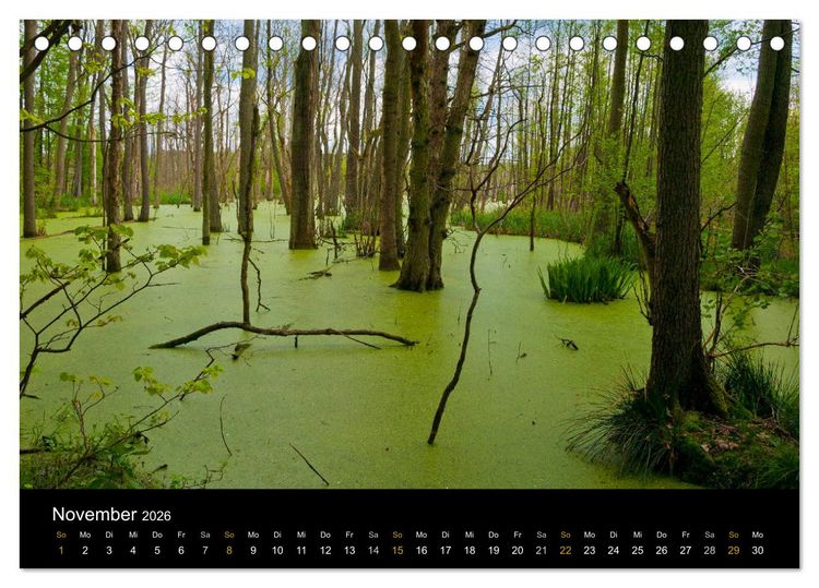 Produktbild: Brandenburg - Landschaften zwischen Elbe und Oder (Tischkalender 2026 DIN A5 quer), CALVENDO Monatskalender