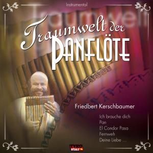 Produktbild: Traumwelt Der Panfl&ouml;te