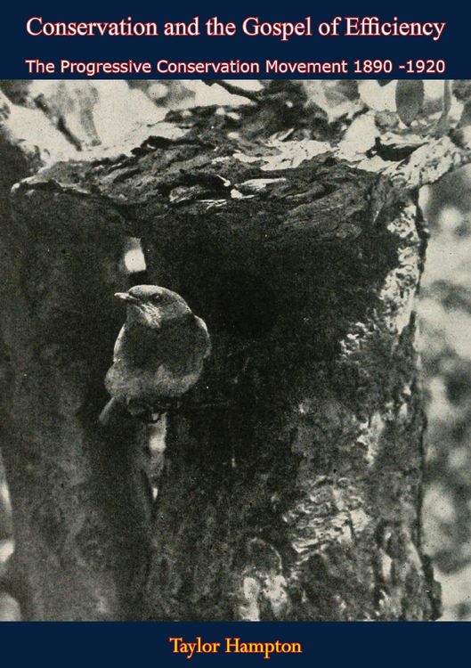 Produktbild: Conservation and the Gospel of Efficiency