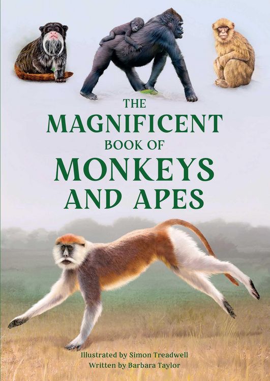Produktbild: The Magnificent Book of Monkeys and Apes