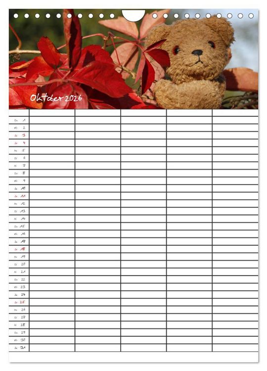 Produktbild: Der Teddyb&auml;ren-Familienplaner (Wandkalender 2026 DIN A4 hoch), CALVENDO Monatskalender