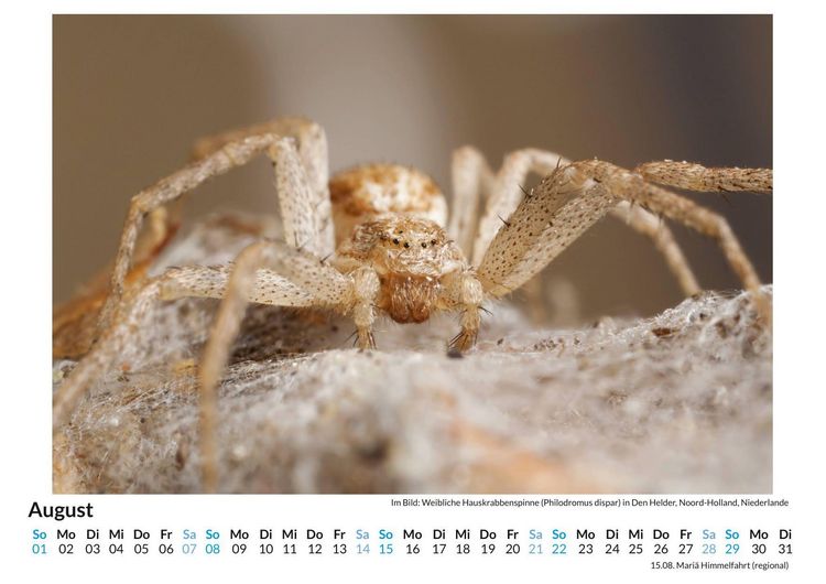 Produktbild: Flora und Fauna der Niederlande