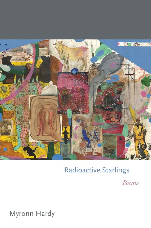 Produktbild: Radioactive Starlings