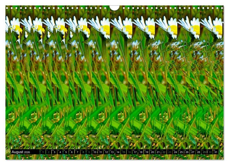 Produktbild: Magische Bilder - Stereogramme und 3D-Illusionen (Wandkalender 2026 DIN A3 quer), CALVENDO Monatskalender