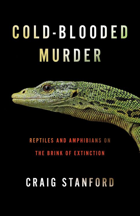 Produktbild: Cold-Blooded Murder