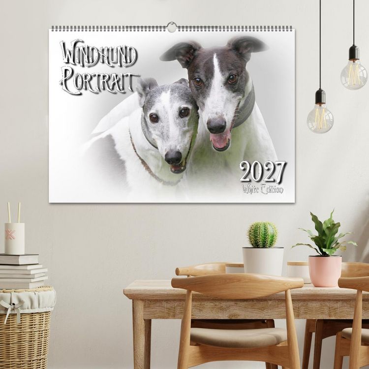 Produktbild: Windhund Portrait 2027 White Edition (Wandkalender 2027 DIN A2 quer), CALVENDO Monatskalender