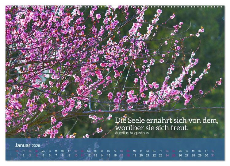 Produktbild: FASZINATION MANDELBL&Uuml;TE (hochwertiger Premium Wandkalender 2026 DIN A2 quer), Kunstdruck in Hochglanz