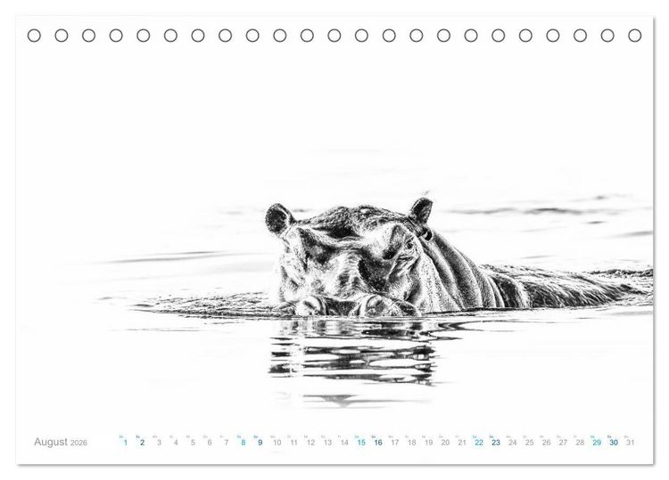 Produktbild: AFRIKA - Schwarz-weiss Fotografien im modernen "High Key" Look (Tischkalender 2026 DIN A5 quer), CALVENDO Monatskalender