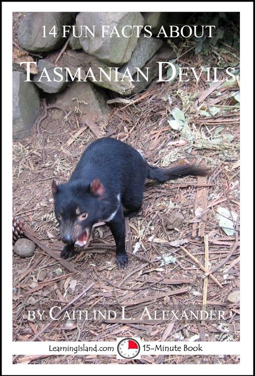 Produktbild: 14 Fun Facts About Tasmanian Devils: A 15-Minute Book
