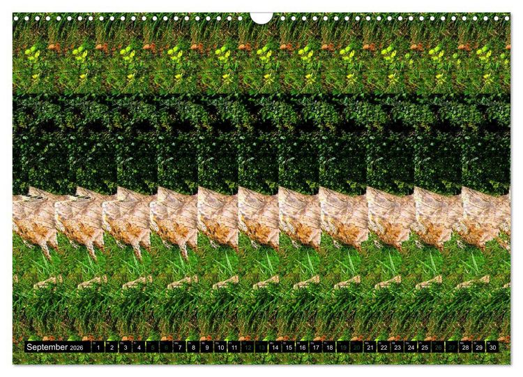 Produktbild: Magische Bilder - 3D Stereogramme (Wandkalender 2026 DIN A3 quer), CALVENDO Monatskalender