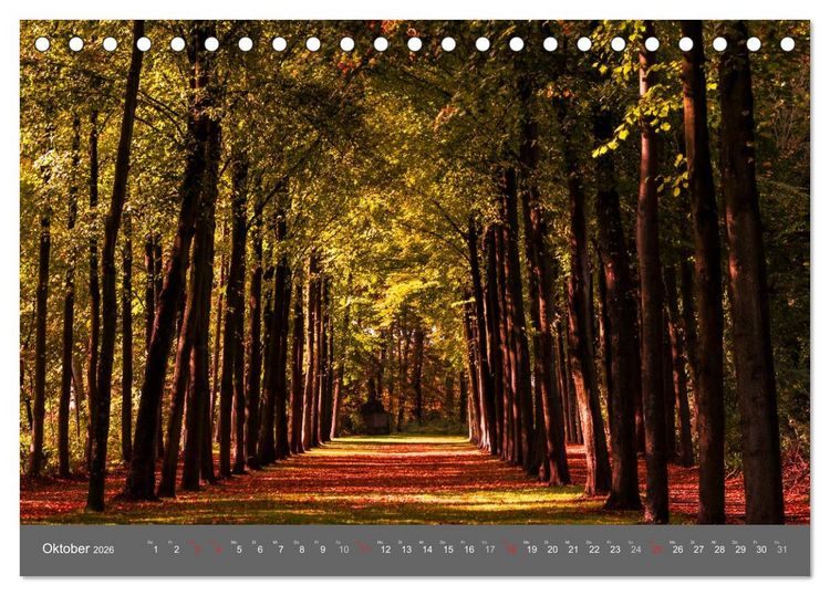 Produktbild: Leuchtendes M&uuml;nster 2026 - die Metropole Westfalens (Tischkalender 2026 DIN A5 quer), CALVENDO Monatskalender